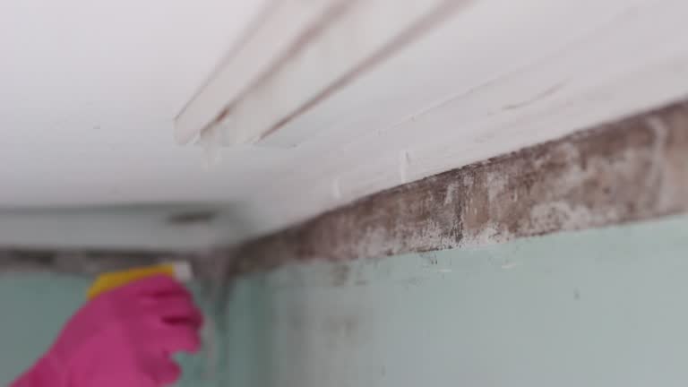 Best Mold Removal for HVAC Installations  in Woodcrest, CA